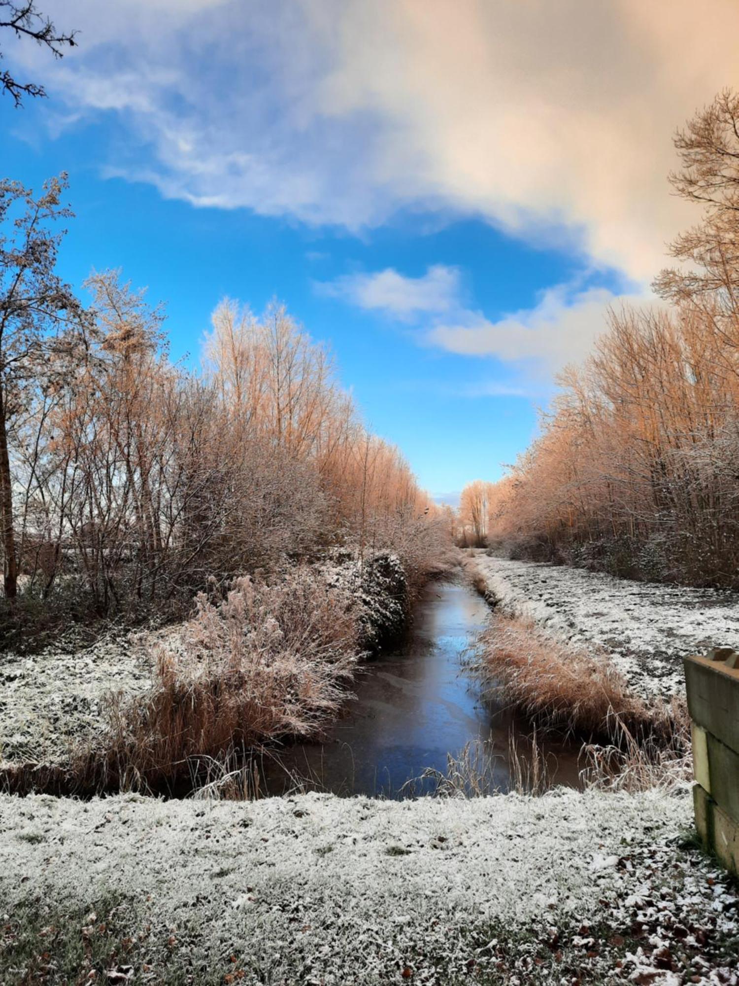'T Wad Villa Tzummarum Bagian luar foto